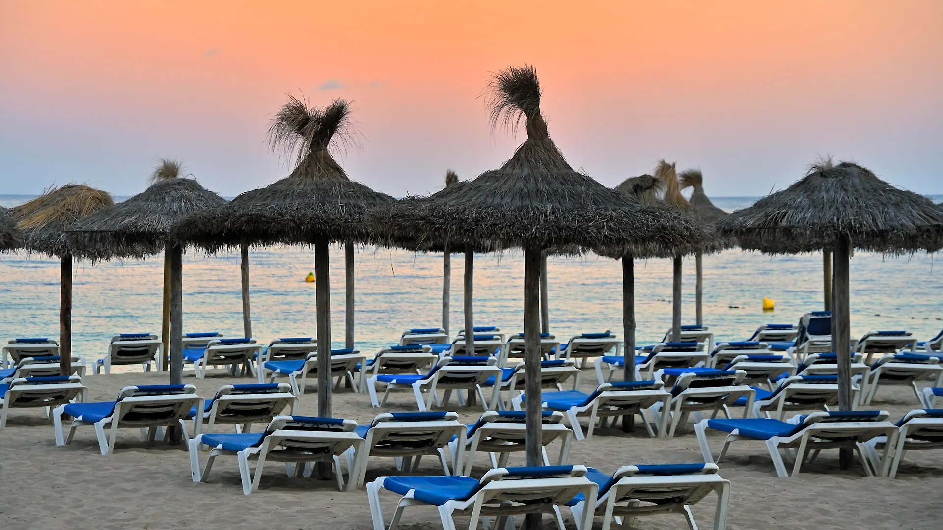 Apartament Marina Apartamentos Palmanova Hiszpania